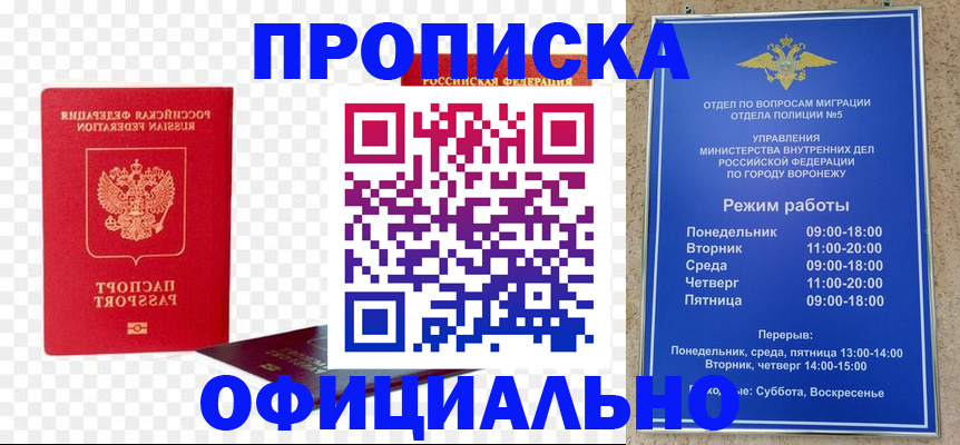 прописка иностранных граждан в Шали